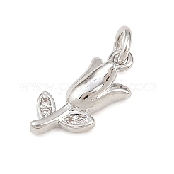 Brass Micro Pave Clear Cubic Zirconia Charms&nbsp;KK-G544-06P-01