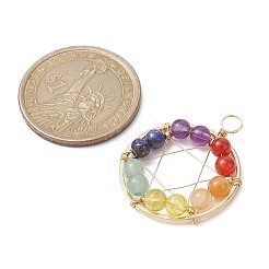 Gemstone Copper Wire Wrapped Pendants&nbsp;PALLOY-JF02305-01