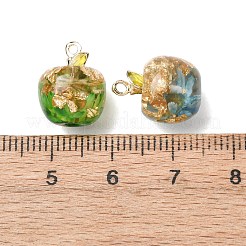 Resin Pendants&nbsp;RESI-I356-02