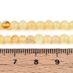 Natural Yellow Amber Beads Strands&nbsp;G-N351-04A-01