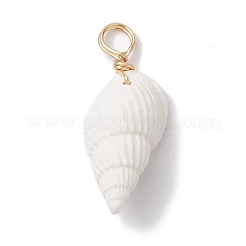Natural Trumpet Shell Pendants&nbsp;PALLOY-JF02682-01