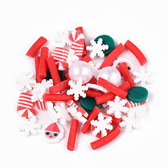 Handmade Polymer Clay Cabochons&nbsp;CLAY-N013-13