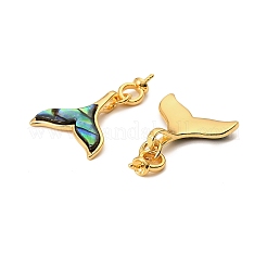 Natural Paua Shell Whale Tail Pendants&nbsp;KK-G538-37G