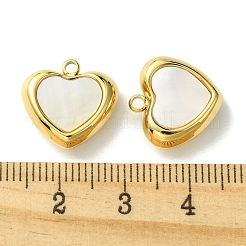 Ion Plating(IP) 304 Stainless Steel Pave Shell Heart Charms&nbsp;FIND-Z028-29G