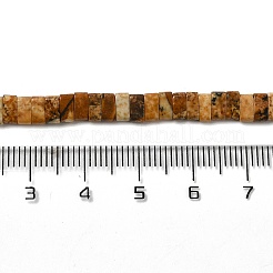 Natural Picture Jasper Beads Strands&nbsp;G-Z045-A09-01