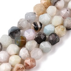 Natural Flower Amazonite Beads Strands&nbsp;G-T138-217