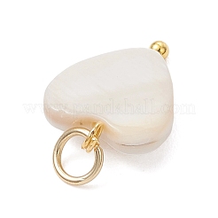 Natural Freshwater Shell Charms&nbsp;PALLOY-JF05016