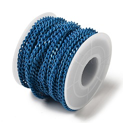 Spray Painted 304 Stainless Steel Curb Chains&nbsp;STAS-B067-05B-05