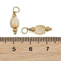 Natural Freshwater Shell Pendants&nbsp;SH-CBA5EEC-12G