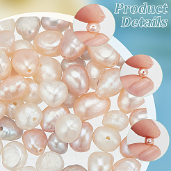 75Pcs 5 Style Natural Cultured Freshwater Pearl Beads&nbsp;PEAR-WR0001-04