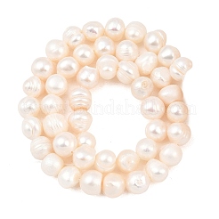 Natural Cultured Freshwater Pearl Beads Strands&nbsp;PEAR-D003-01C-04