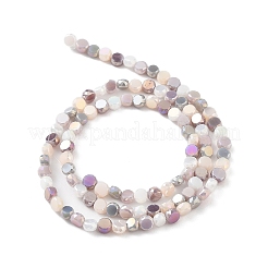 Electroplate Glass Beads&nbsp;X-EGLA-P056-01E