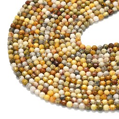 Natural Crazy Lace Agate Beads Strands&nbsp;G-A260-A11-01