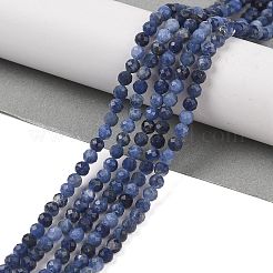 Natural Sodalite Beads Strands&nbsp;G-B088-C25-04