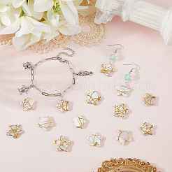 30Pcs Drawbench Style Natural Freshwater Shell Beads Strands&nbsp;BSHE-PA0001-05