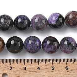 Natural Charoite Beads Strands&nbsp;G-C270-O03-12