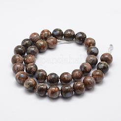 Natural Glaucophane Beads Strands&nbsp;G-K209-04A-10mm