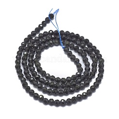 Natural Obsidian Beads Strands&nbsp;G-G792-36B