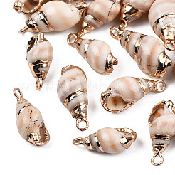 Electroplate Spiral Shell Pendants&nbsp;SSHEL-T006-13