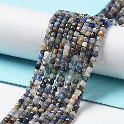Natural Sodalite Beads Strands&nbsp;G-J400-A06-01