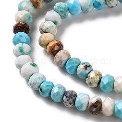 Natural Howlite Beads Strands&nbsp;G-H025-03B-05