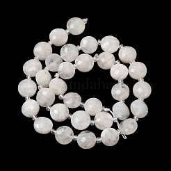 Natural Rainbow Moonstone Beads Strands&nbsp;G-B094-A06-02