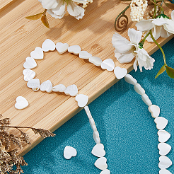 3 Strands Natural Freshwater Shell Beads Strands&nbsp;SHEL-HS0001-12