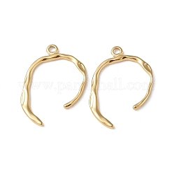 Ion Plating(IP) 304 Stainless Steel Pendants&nbsp;STAS-C066-22G