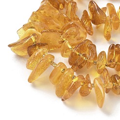 Natural Amber Beads Strands&nbsp;G-L095-D01-03