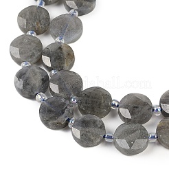 Natural Labradorite Beads Strands&nbsp;G-C116-A46-01