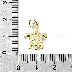 Brass Pendants&nbsp;KK-V013-04G