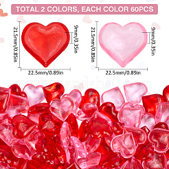 120Pcs 2 Colors Resin Beads&nbsp;RESI-SP0001-18A