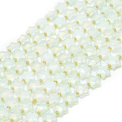 Opalite Beads Strands&nbsp;G-P573-C05-01