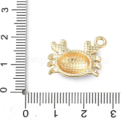 Alloy Enamel Pendants&nbsp;ENAM-K076-31G