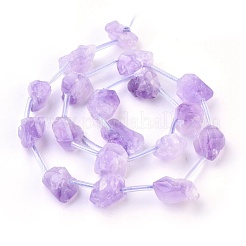 Natural Amethyst Beads Strands&nbsp;G-I250-03C