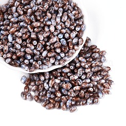 Spray Painted Glass Seed Beads&nbsp;SEED-T007-14C