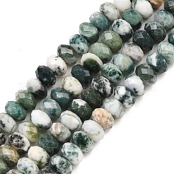 Natural Tree Agate Beads Strands&nbsp;G-C259-A34-5x8mm