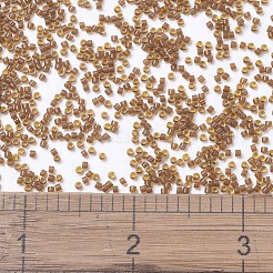 MIYUKI Delica Beads&nbsp;X-SEED-J020-DB1391