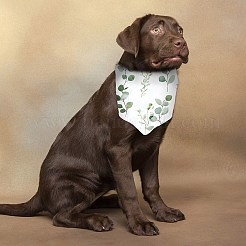 2Pcs 2 Styles Polyester Dog Bandana&nbsp;AJEW-WH0456-005