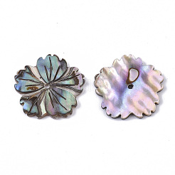 Natural Paua Shell/Abalone Shell Beads&nbsp;X-SSHEL-R046-02