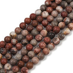 Natural Dendritic Jasper Beads Strands&nbsp;G-F591-24-8mm