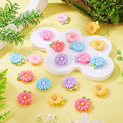 20pcs Opaque Resin Cabochons&nbsp;RESI-TADJ0001-08E