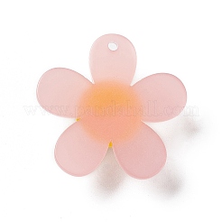 Frosted Translucent Acrylic Pendants&nbsp;OACR-P012-C03