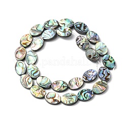 Natural Paua Shell Beads Strands&nbsp;SHEL-F006-06