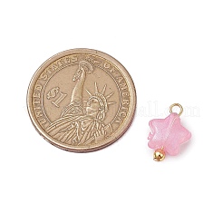 Luminous Acrylic Charms&nbsp;PALLOY-JF03320-01
