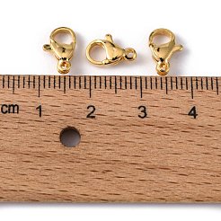 304 Stainless Steel Lobster Claw Clasps&nbsp;STAS-R050-10x6mm-02