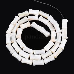 Natural Freshwater Shell Beads Strands&nbsp;SHEL-N038-02