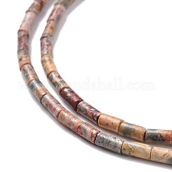 Natural Leopardskin Round Bead Strands&nbsp;G-M389-02
