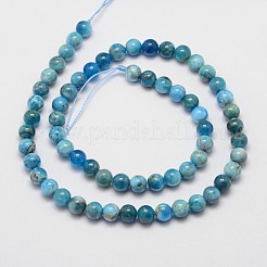 Natural Apatite Beads Strands&nbsp;X-G-D856-01-6.5mm