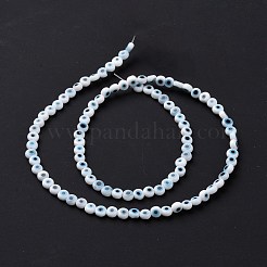 Handmade Lampwork Beads&nbsp;LAMP-P056-01B